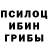 Псилоцибиновые грибы GOLDEN TEACHER Vlad Rossov