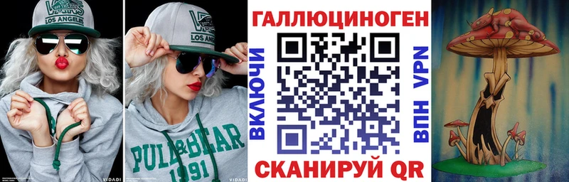 Псилоцибиновые грибы Psilocybe  darknet клад  Хотьково 