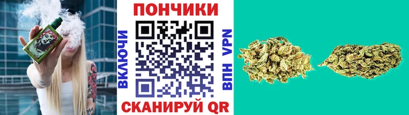 Каннабис SATIVA & INDICA  Хотьково 
